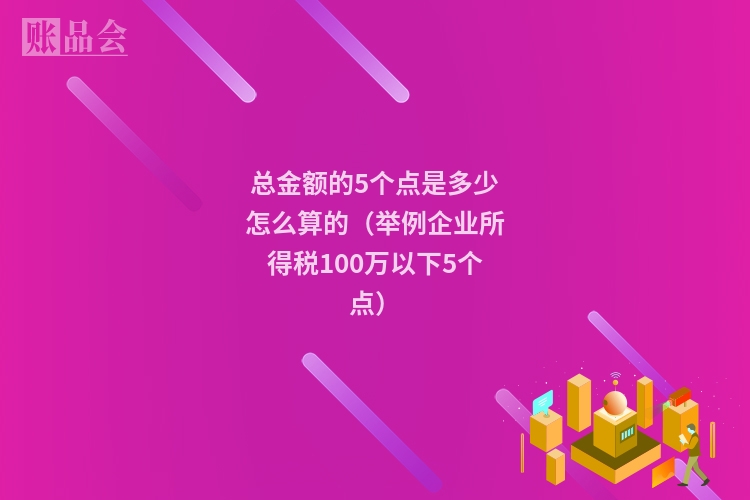 总金额的5个点是多少怎么算的（举例企业所得税100万以下5个点）