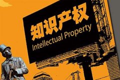 新领域的知识产权保护