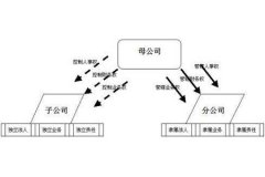 分公司和子公司难以区别？想扩展经营就快来看看
