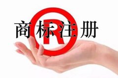 如何查询商标注册进度？两种靠谱的方式快码住