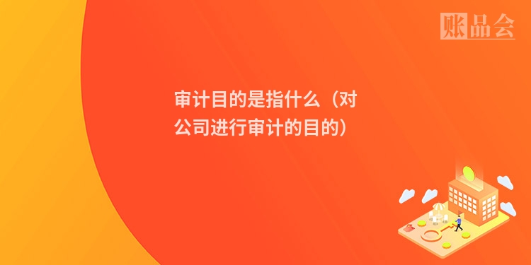 审计目的是指什么（对公司进行审计的目的）