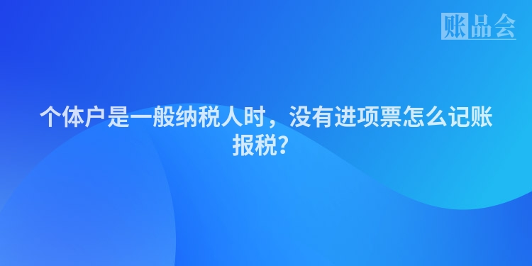 个体户是一般纳税人时，没有进项票怎么记账报税？