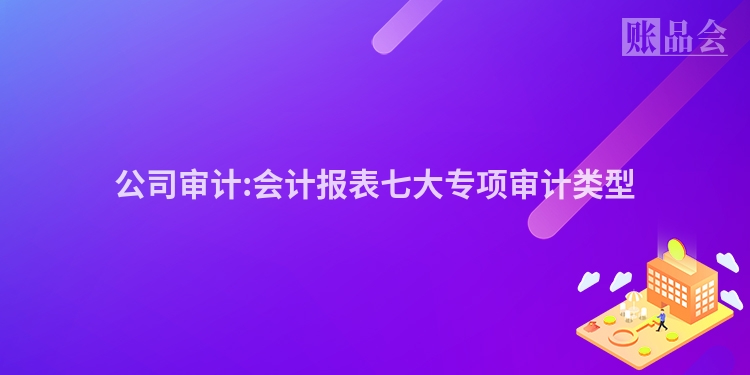 公司审计:会计报表七大专项审计类型